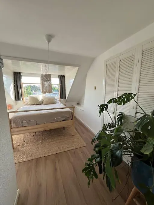Cozy Apartment Close To The Dunes And The Beach Zandvoort 0*,