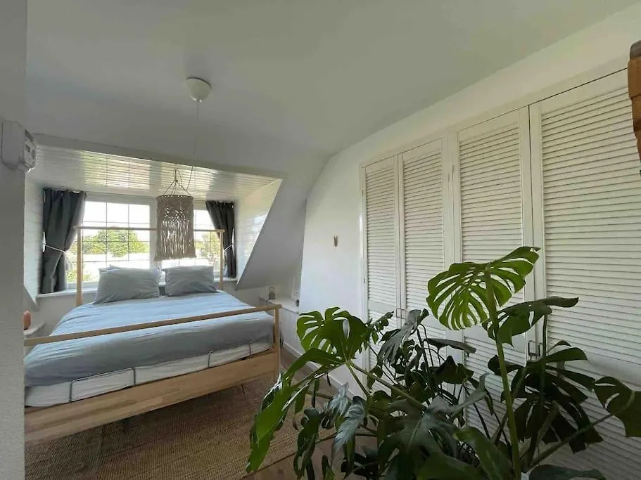 Cozy Apartment Close To The Dunes And The Beach Zandvoort