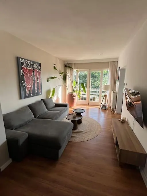 Cozy Apartment Close To The Dunes And The Beach Zandvoort
