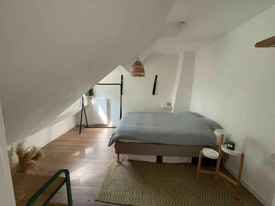 Cozy Apartment Close To The Dunes And The Beach Zandvoort Pays-Bas