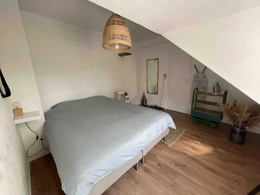 Cozy Apartment Close To The Dunes And The Beach Zandvoort 0*,
